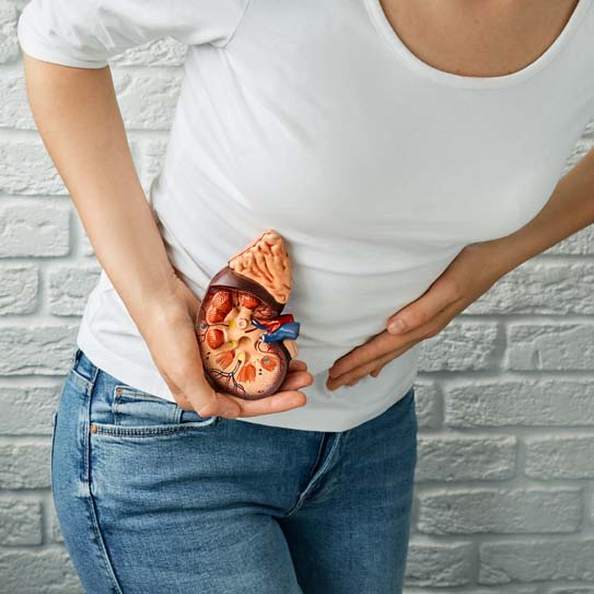 Kidney Stones Treatment