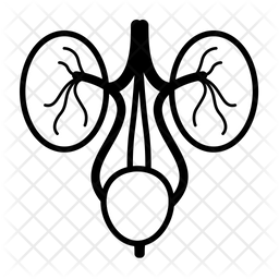 A surgical thread is placed through the fistula to keep it open and allow drainage; can be tightened gradually or left loose