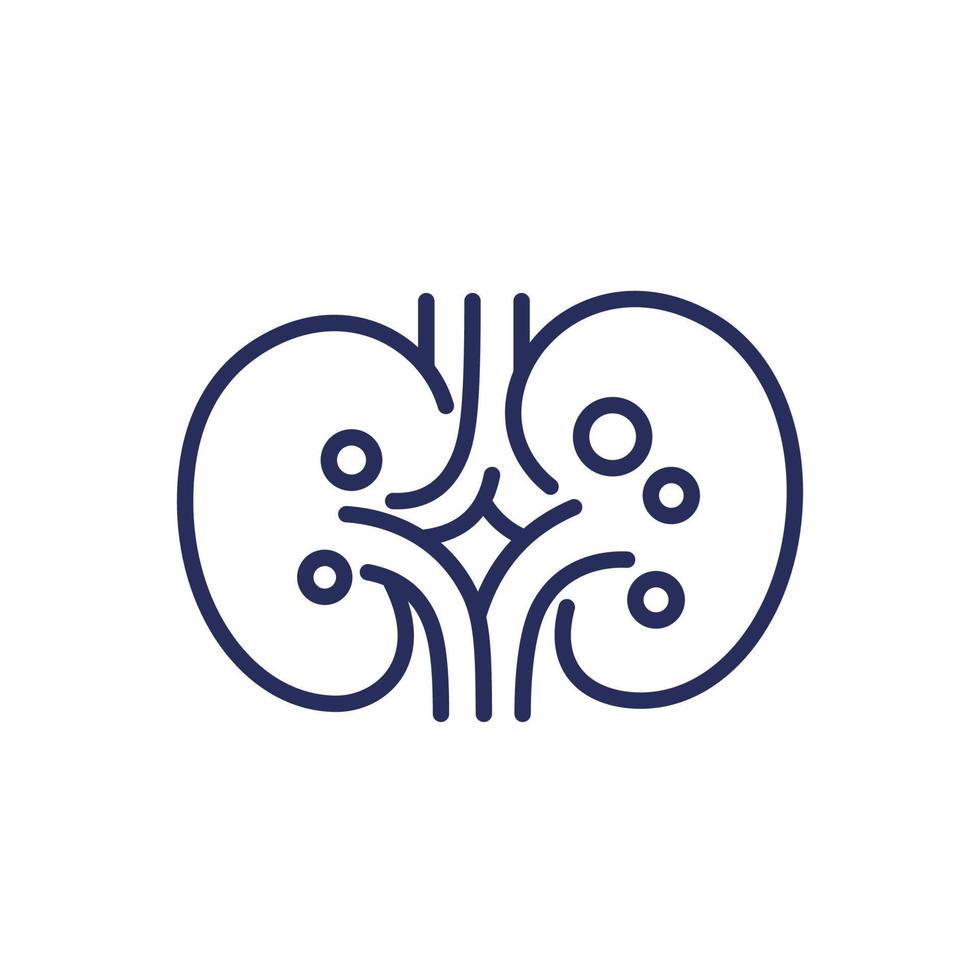 Kidney stones form when there are excess salts and minerals in the kidneys. Kidneys are responsible for the removal of waste and fluid from the body through urine. When the concentration of waste is more than the fluid, the waste accumulates to form lumps which result in the formation of kidney stones. 