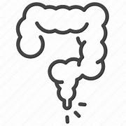 Hemorrhoids — commonly known as piles — are swollen veins in the rectum or anus that cause discomfort, itching, pain, and sometimes bleeding